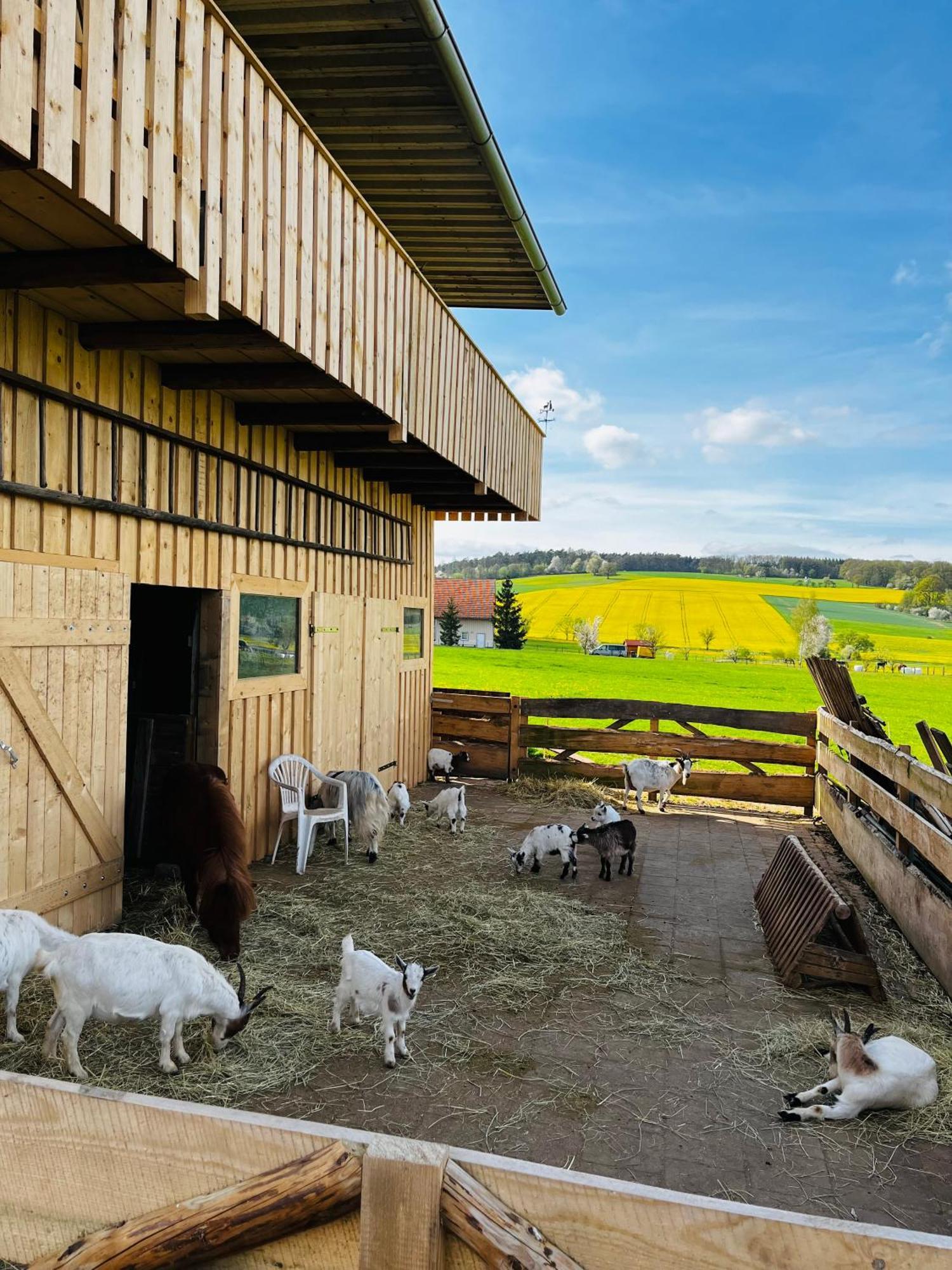 Ferienwohnung Peters Hünfeld Zewnętrze zdjęcie